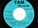 Modern Soul Disco 45 - Cathy Lynn Chriss - The Letter - Tam - VG+ mp3 - unknown?
