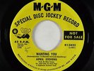 Northern Soul 45 - April Stevens - Wanting You - MGM - mp3