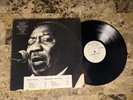 MUDDY MISSISSIPPI WATERS LIVE KILLER BLUES BLUE SKY WHITE LABEL PROMO LP EX+ NM