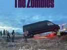 The Zombies Different Game (Vinyl LP 12