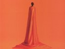 WAYNE SNOW - Figurine - Vinyl (LP)