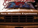 Gin Blossoms New Miserable Experience Records & LPs New