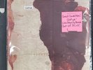 Gotye Like Drawing Blood Vinyl Rare 2013 MINTY condition