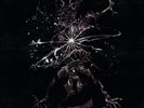 SOL AN VARMA SOL AN VARMA NEW LP