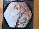Rawshock / blowout +3 / Superrar Uncut Shape Picture Disc vinyl / Dragon Insect