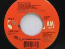 90'S 45 Soundgarden - Black Hole Sun / Spoonman On Am Records