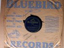Washboard Sam BLUEBIRD 8211 V+ 