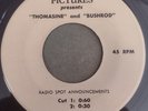 THOMASINE AND BUSHROD Blaxploitation Radio Movie Spot Disc ARTHUR LEE LOVE