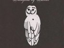 Trampled By Turtles - Palomino NEW Sealed Vinyl