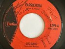LOS RUFOS - Caprichosa / GARAGE FUZZ COSTA RICA 45