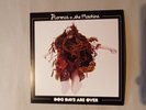 Florence + The Machine - Dog Days Are Over - 7