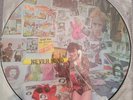 Sex Pistols VERY RARE vinyl lp Picture Album Limited Edition  Antler 37 