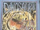 **Autographed** Dinosaur Jr 