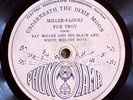 Phono Lamp 1000 RARE LABEL Al Starita Orch /Rsy Miller Or  78 rpm 1921 GREY GULL