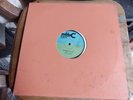 Big Spanner Disco-Leroy Sibbles-Garden Of Life-Jah Far I On A Pinicle-12''-mp3