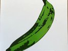 The Velvet Underground & Nico – Unripened RARE 1966 demo new reissue