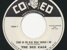 DEE CALS - Stars In The Blue What Should I / Wonderful Day -CO ED - Doo Wop 45