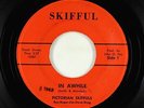 Garage 45 - Pictorian Skiffuls - In Awhile - Skifful - mp3