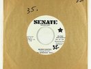 Garage Fuzz 45 - Basement Wall - Never Existed - Senate - VG+ mp3