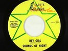 Garage 45 - Sounds Of Night - Hey Girl - Celeste - mp3 - obscure