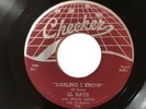  El Rays - Checker 794 - *RARE* - Darling I Know / Christine ( chipped ) VG+