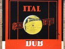 DUB SPECIALIST - ITAL SOUND / ITAL DUB. STUDIO ONE REGGAE VINYL LP. LISTEN