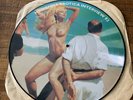 Madonna Erotica Interview 92 Vinyl / Picture Disc (RARE ) made in Germany