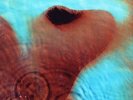 Pink Floyd ‎– Meddle 180g VINYL LP NEW & SEALED