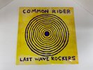 Common Rider Last Wave Rockers LP 1999 Panic Button SEALED NM /VG+