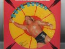 RARE 1983 vintage Japanese GLORIOUS SUPERMAN HULK HOGAN Picture disc RECORD wwf