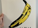 The Velvet Underground & Nico V-5008 OOP Mono 2004 Not For Sale On Discogs