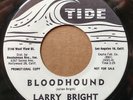 LARRY BRIGHT-BLOODHOUND/WAY DOWN HOME 45 TIDE 45-7-0021 PROMO M-