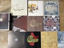 CHICAGO Super Rare 10 All Promo Demo Vinyl Album Box Set Excellent Condition
