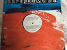 DEPECHE MODE Home Mute Records P12Bong 27 UK promo