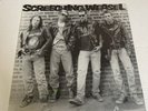 Screeching Weasel, Ramones cover LP. first pressing Punk vinyl Rare