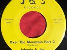 Johnnie & Joe - Over The Mountain Part 2 / Wont You Come J&S RARE R&B DOOWOP 45