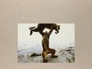 Shellac Dude Incredible 180G /+CD. NEAR MINT Touch and Go Vinyl LP & CD