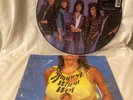 Bon Jovi- Slippery When Wet-Limited Picture Vinyl LP With Tour Of The World Book