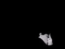 BOB MOSES: DAYS GONE BY (LP vinyl *BRAND NEW*.)
