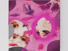 Arca - Kick: The Complete Cycle 5LP Vinyl Box Set New