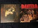 Pantera- Far Beyond Driven And The Great Southern Trendkill