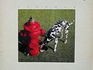Rush ‎–Signals -LP-original 1982-ANTHEM -ANR-1 ‎–1038-Insert-1st Can Press-NM-