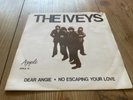 THE IVEYS dear angie  SWEDISH PS apple 14 BADFINGER beatles 45
