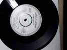 outer limits 7inch single im not your stepping stone very rare