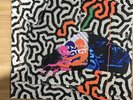 Animal Collective Tangerine Reef  Double Green VINYL LP Like New, Never Played