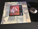 THE CULT DREAMTIME NEW ZEALAND LP VINYL ROXY RECORDS NZ
