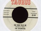 Doo-Wop 45 - The Splendors - The Echo Tells Me on Taurus