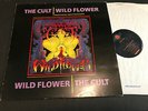 THE CULT WILD FLOWER (EXTENDED ROCK MIX) UK 12