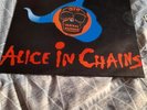 ALICE IN CHAINS: THEM BONES LIMITED EDITION 12