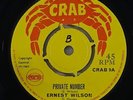 Ernest Wilson 